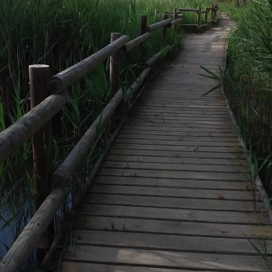 Casa Rural Cal Fuster Experience Terrades Spain